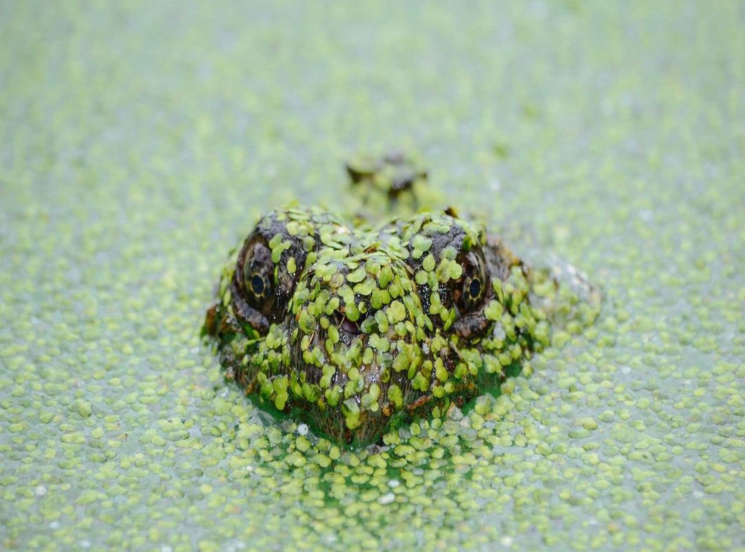 Comparing Your Transfer Options: Banks vs. Specialized Services