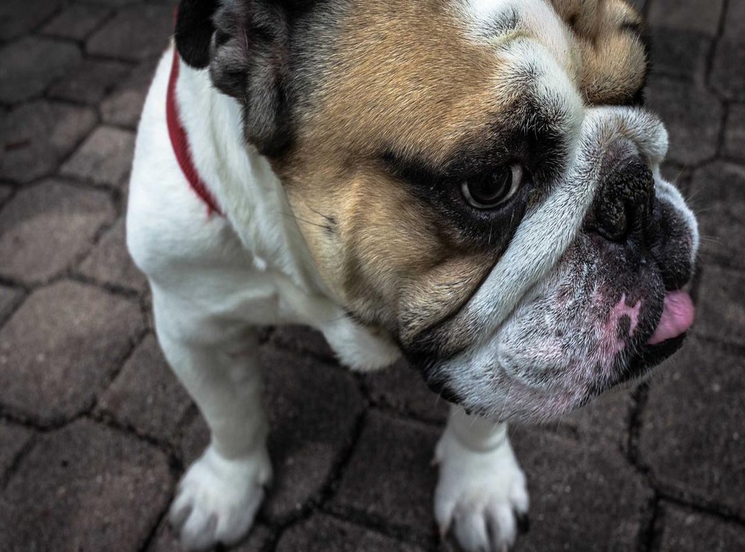 The Cultural Significance: Why Does This Archetype Resonate?