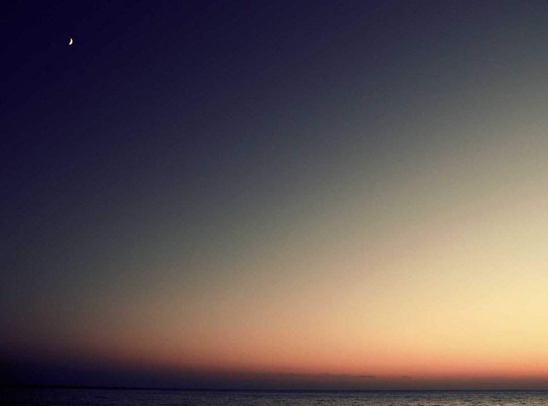 Level Up Your Art: Adding Shadows, Highlights, and Outlines