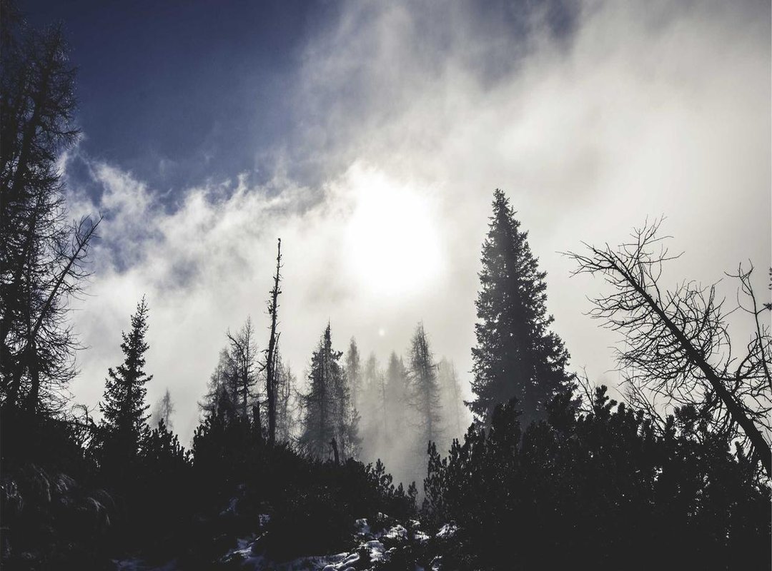 The Next Best Thing: Top Picks for Radically Affordable Extreme Heels