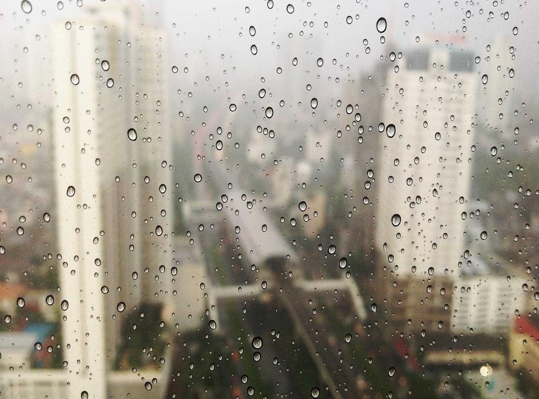 Beyond Height: The Factors That Truly Determine Your Lifespan