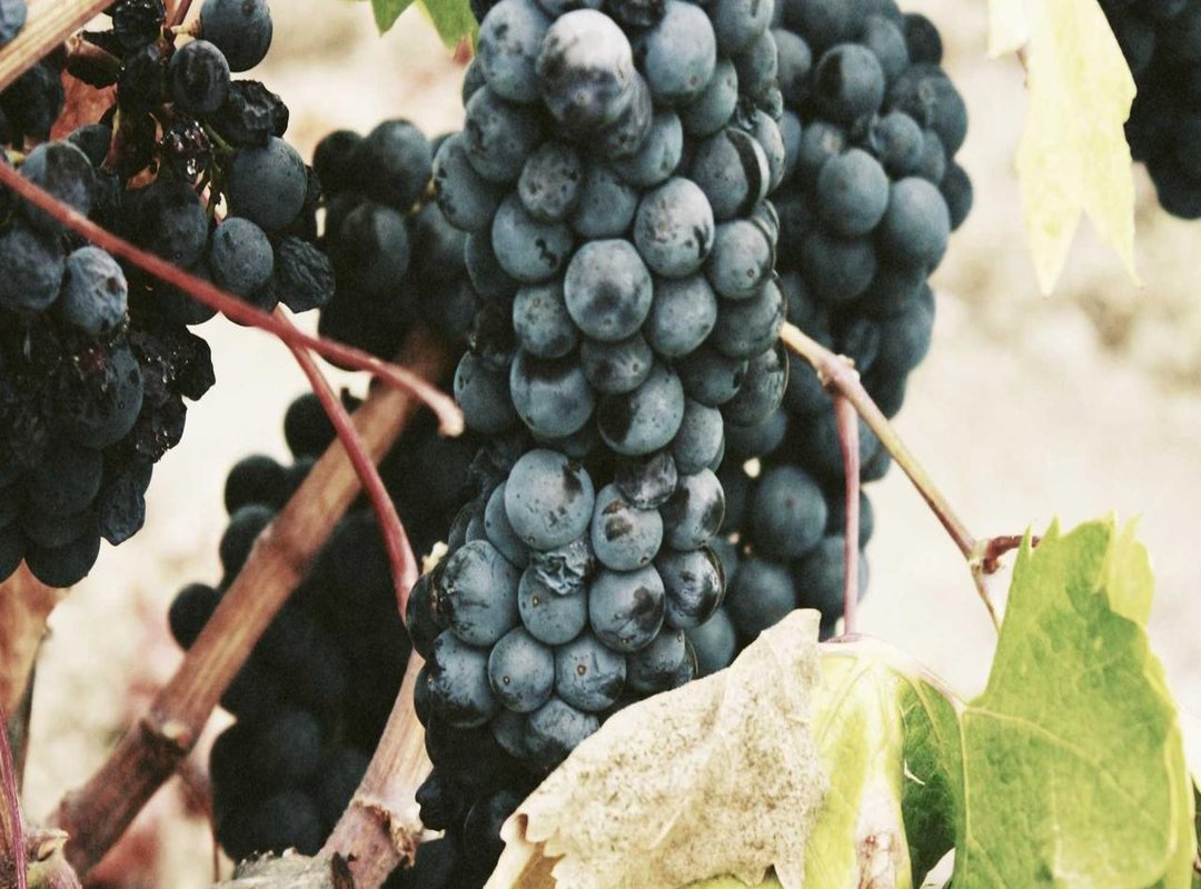 Quick Guide: Installing Fonts on Windows & Mac