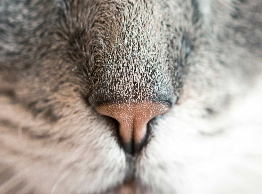 Facing the Inevitable: 'Ah Shit, Here We Go Again'