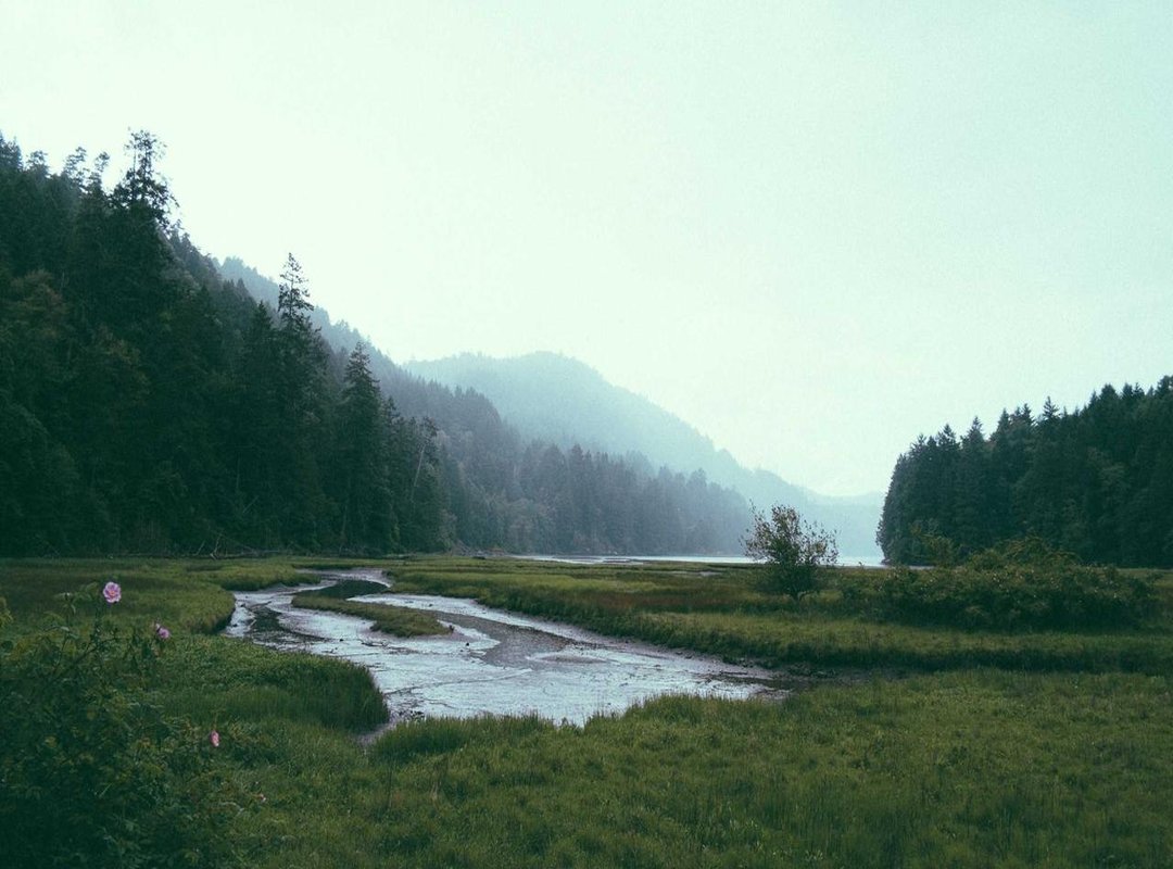 Level Up: Drawing Pikachu with Basic Shapes