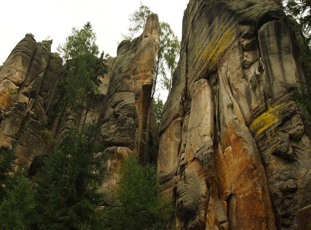 Anatomy of a Perfect Car Heist: The Key Ingredients