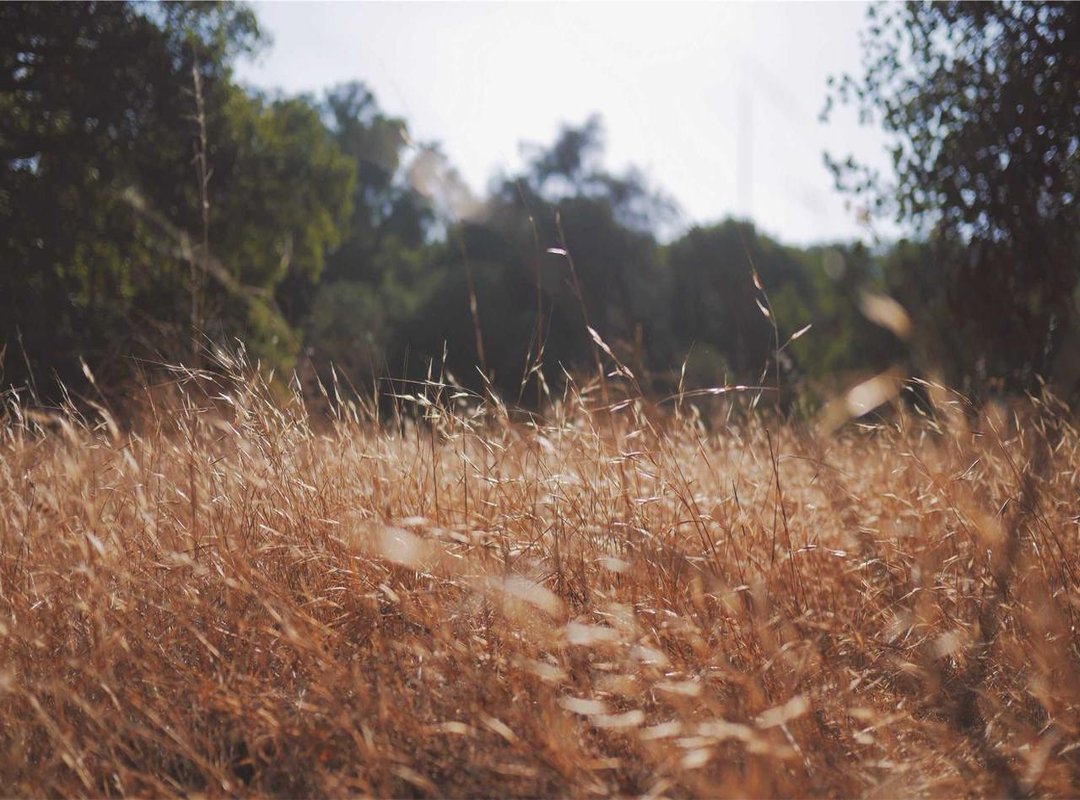 The Psychology Behind the Humor: Why We Find It Funny