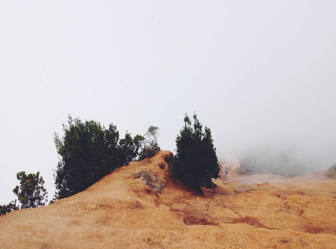 Frequently Asked Questions (FAQs) About Ran Kubala's Art