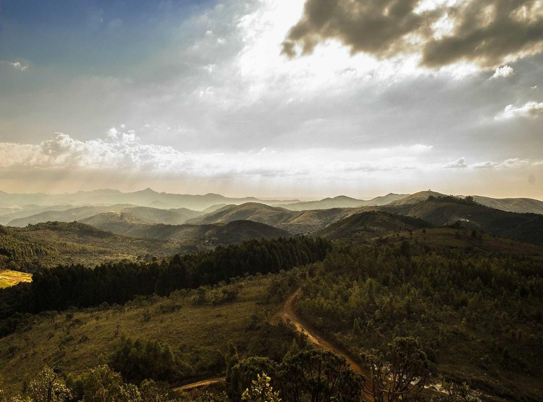 Answering Your Top Questions: Is It Safe and Free?