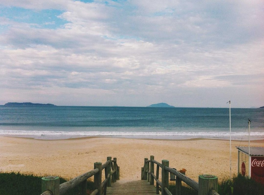 Top Picks: Best Tendolax Products in the Market