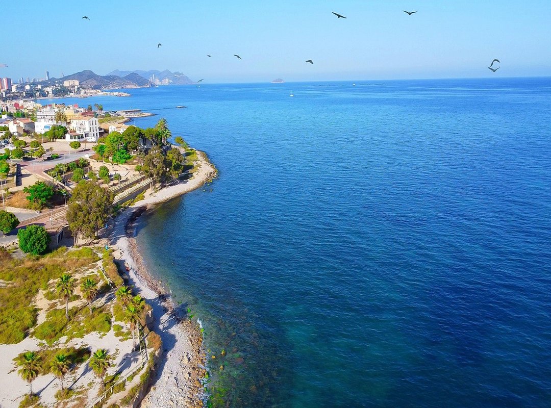 Pros and Cons of Using Trade 2.0 ProAir